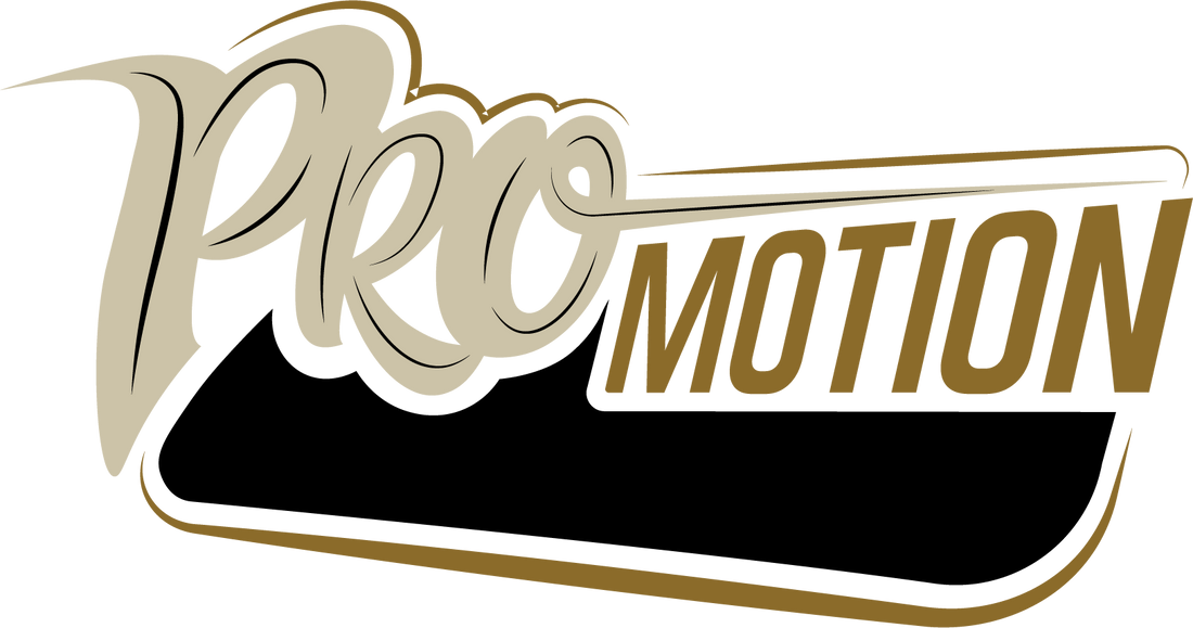 ProMotion RC - Bronze Sponsor( Sportsman Electric Buggy)